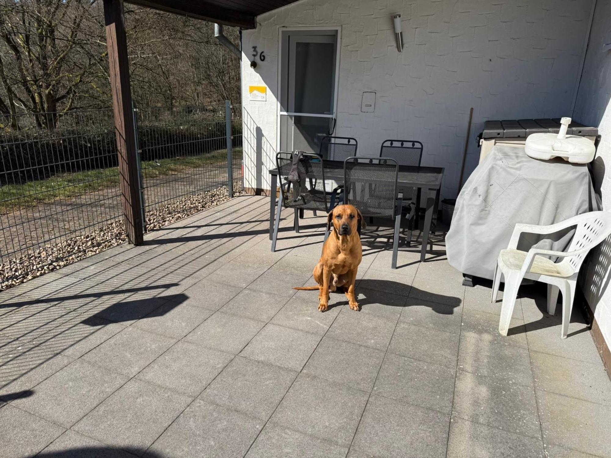 Holiday home Stausee Bitburg