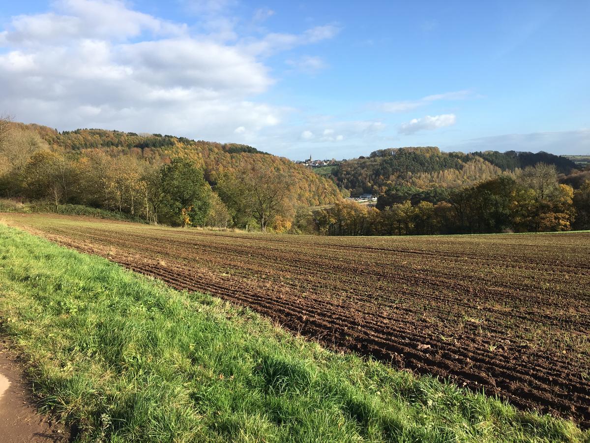 Stausee Bitburg Holiday home Biersdorf am See
